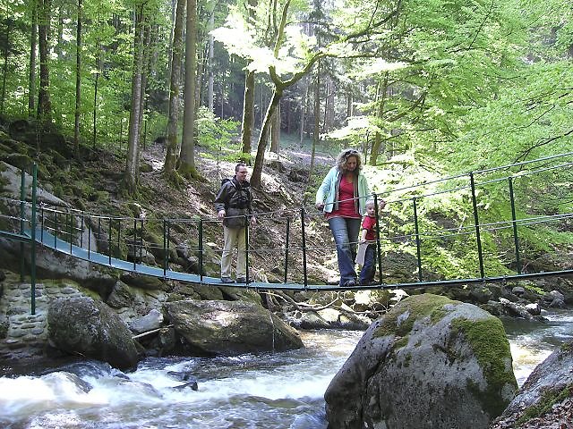 Wanderweg Bayerischer Wald