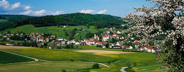 Gemeinde Ringelai im Bayerischen Wald